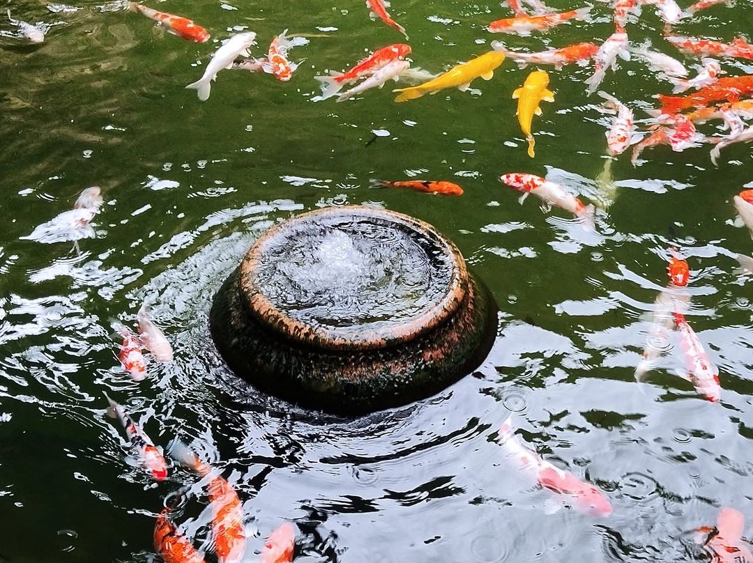 Seven Sisters Holidays-因帕尔必去景点