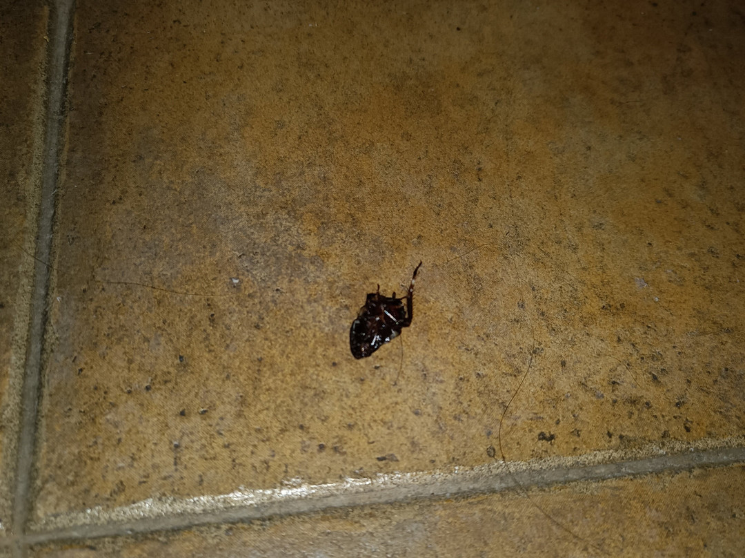 Hotel Los Leones San Martín de la Vega主图