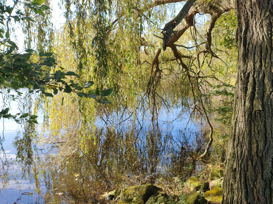 Nene Park景点图片