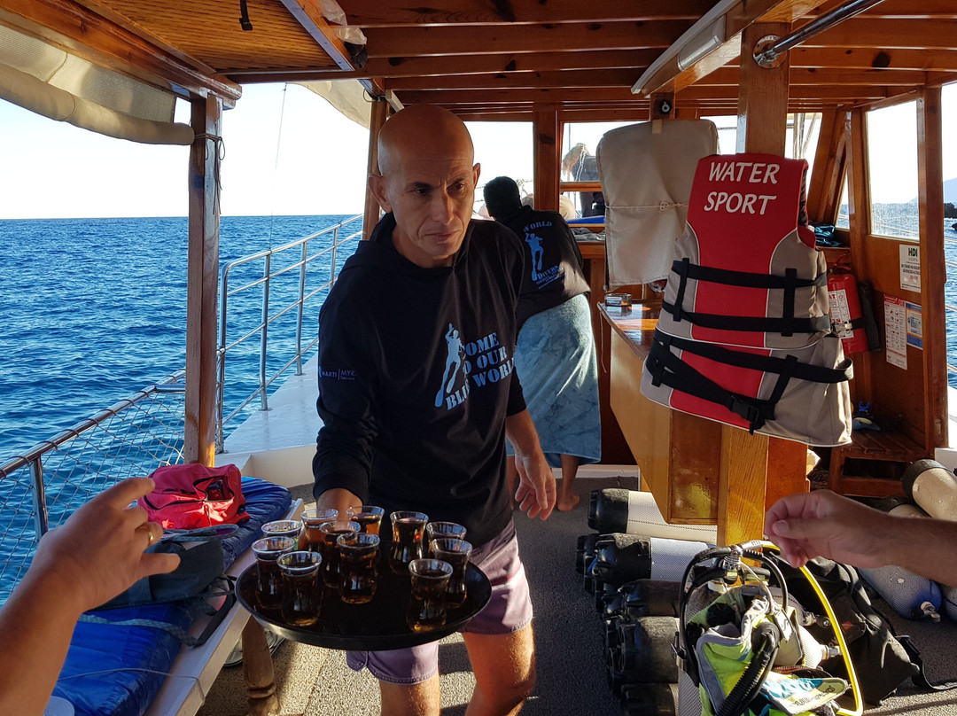 Blue World Diving Center景点图片