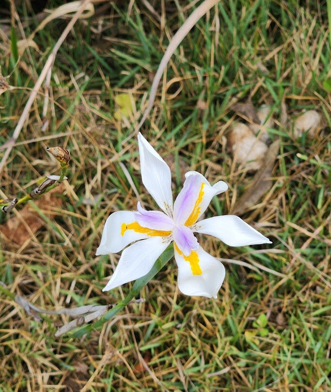 Pousada Famiglia Barthô主图