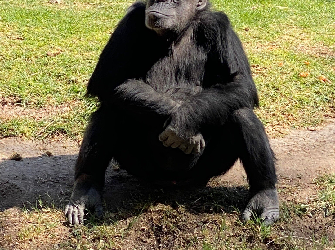 Parque Zoológico de León-利昂必去景点