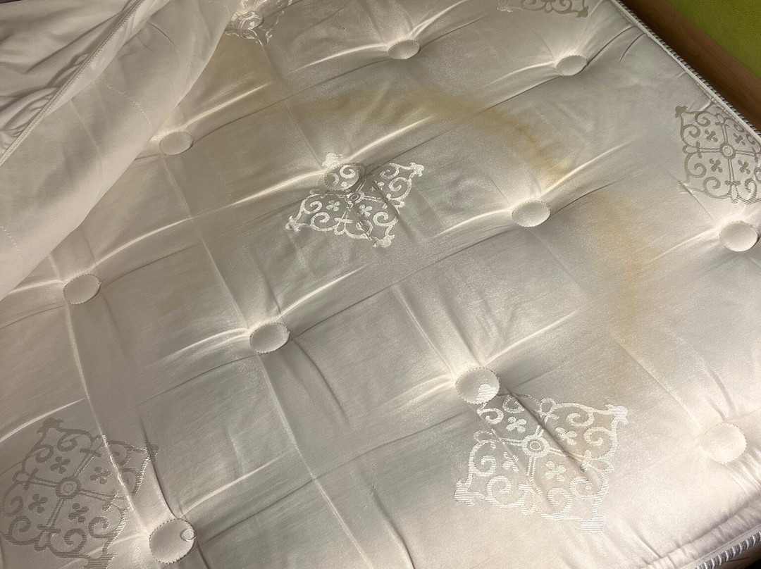 Home2 Suites by Hilton Bowling Green主图