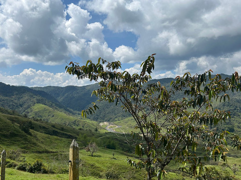 EcoAventuras-Alejandria必去景点