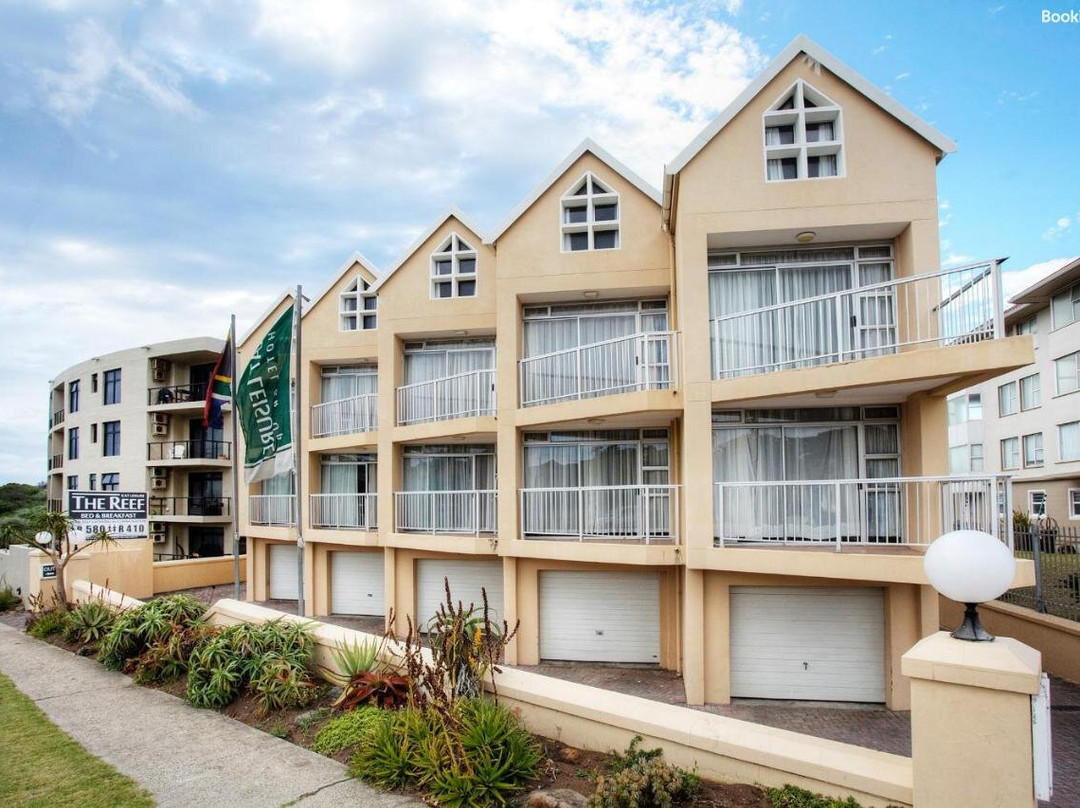The Reef主图
