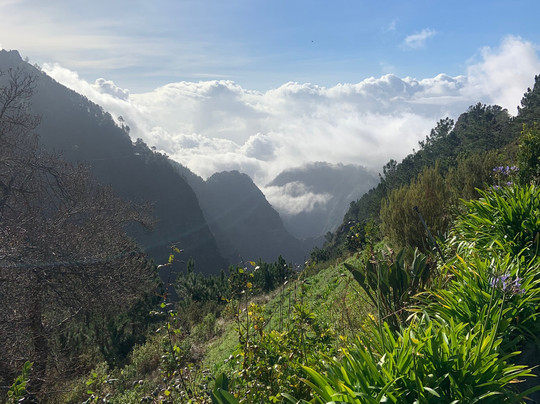 Madeira Escape Tours-马德拉群岛必去景点