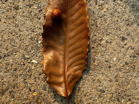 西山国家森林公园-北京市必去景点