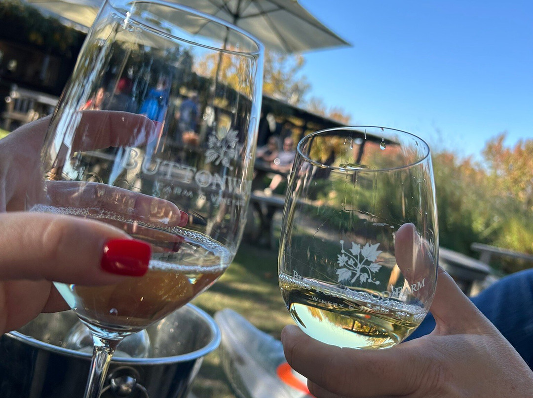 Buttonwood Farm Winery & Vineyard-索尔万必去景点