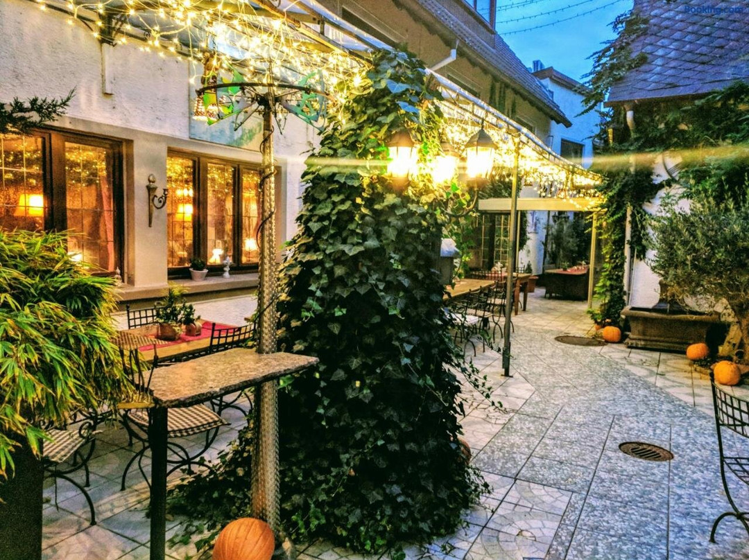 彼得舍费尔酒店
