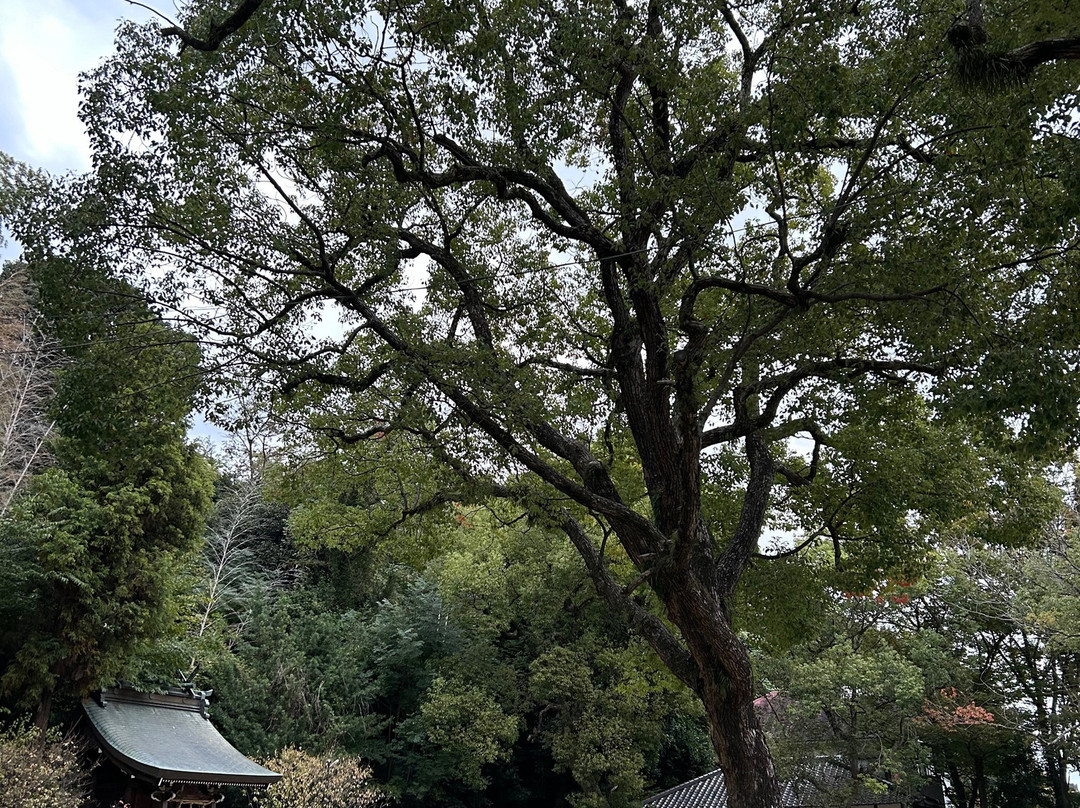 Tarumi Shrine-吹田市必去景点