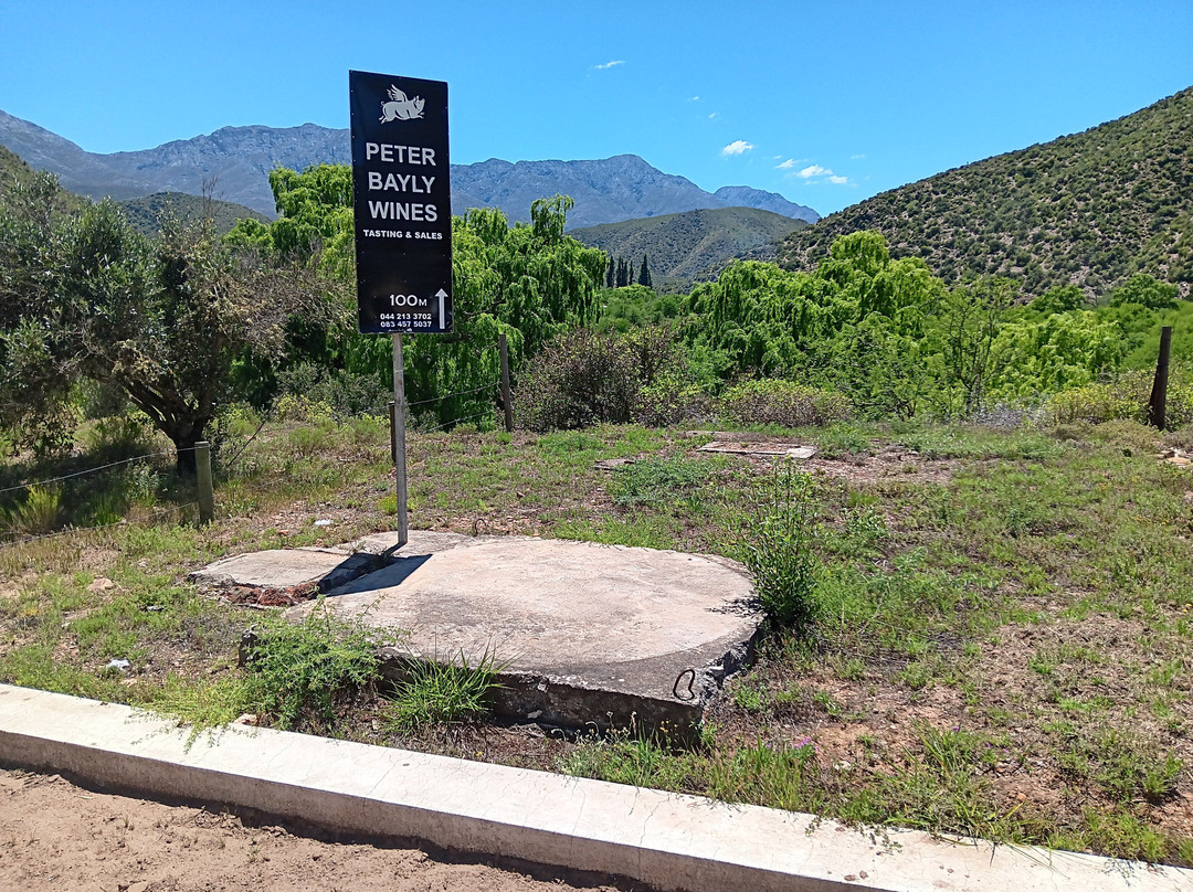 Peter Bayly Wines-Calitzdorp必去景点