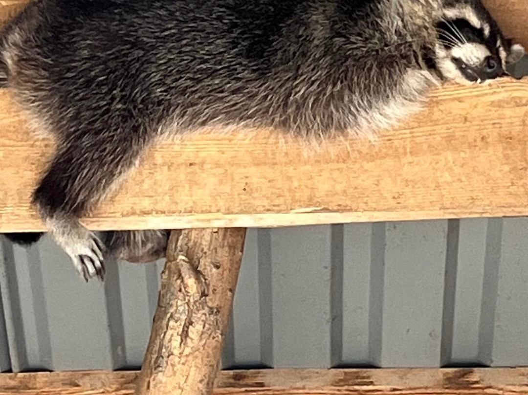 ZooClub-Bardar必去景点