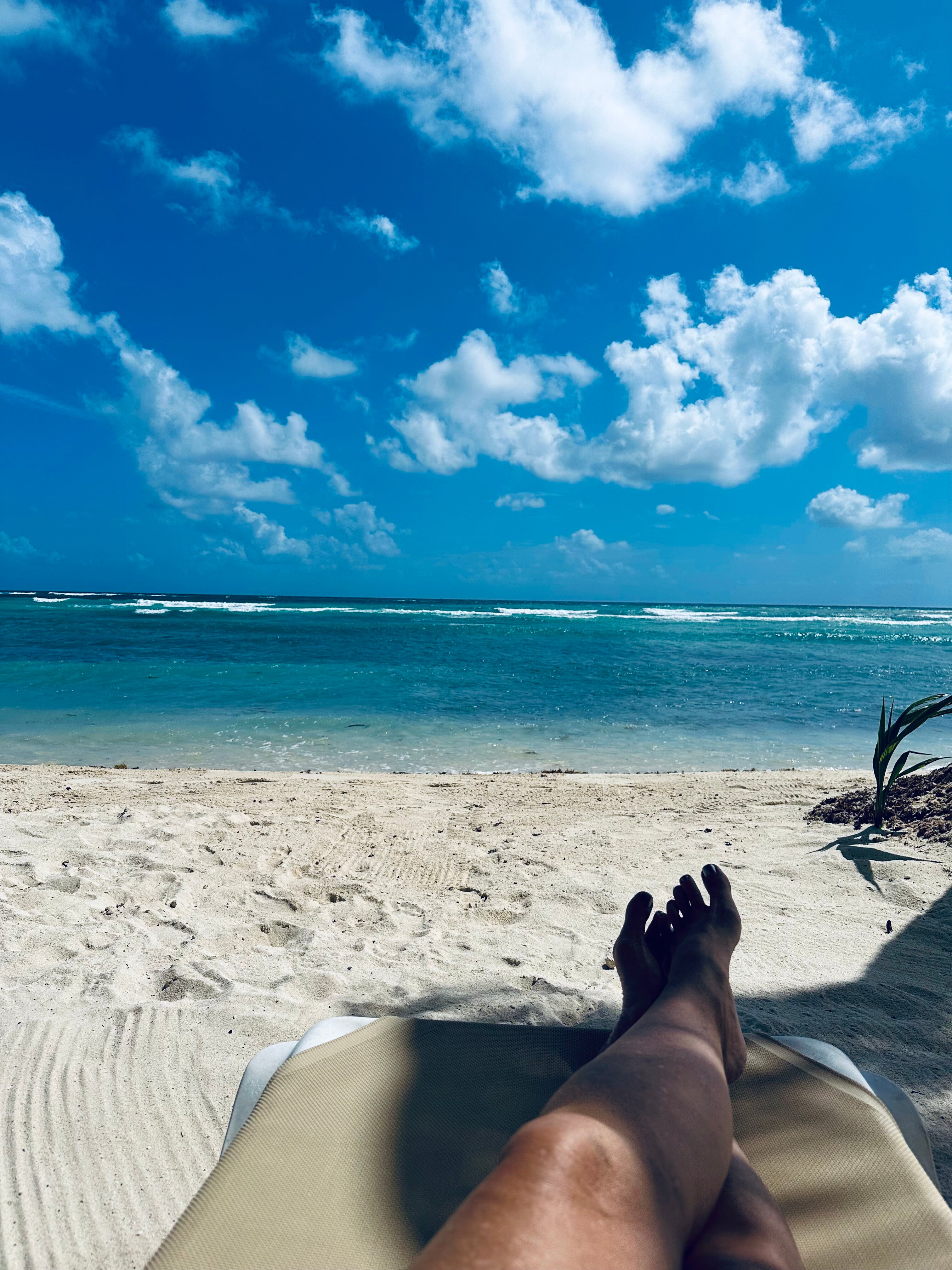 Del Sol Beachfront Properties-官方