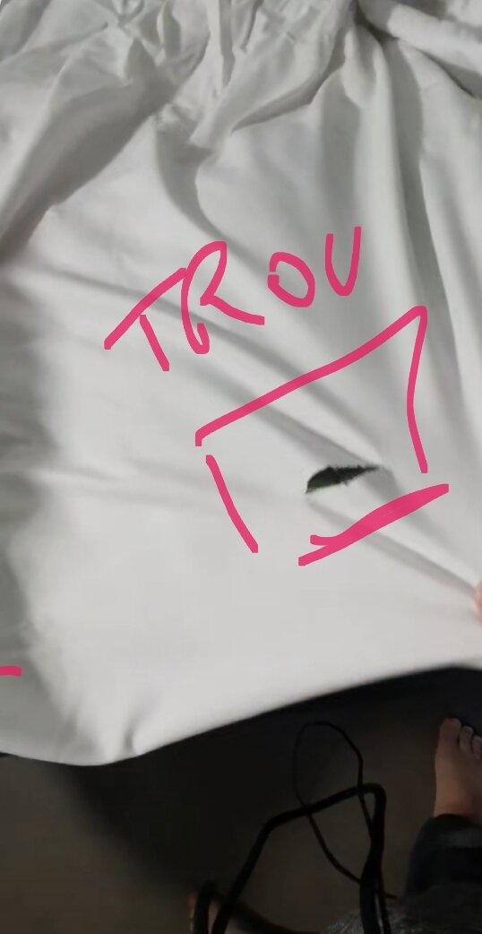 Hotel La Marmotte-客卧