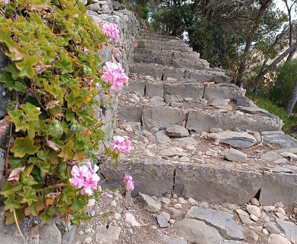 Miradouro do Pico do Castelo-Porto Santo Island必去景点