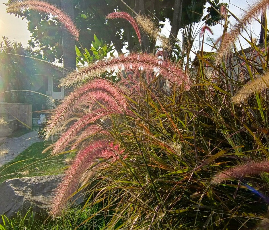 Syariah Hotel Solo By Lorin主图