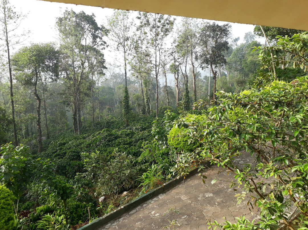 Ibbani Cadu Estate Homestay主图