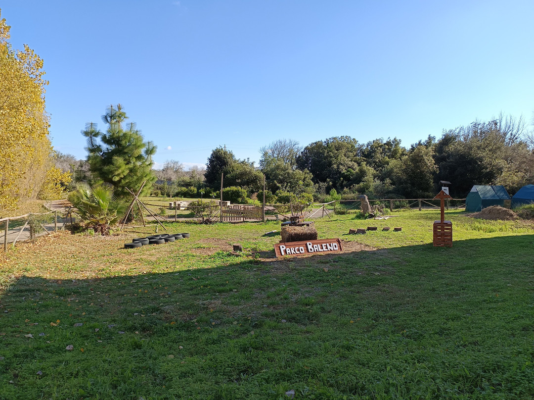 Museo di Storia Naturale del Salento-Calimera必去景点