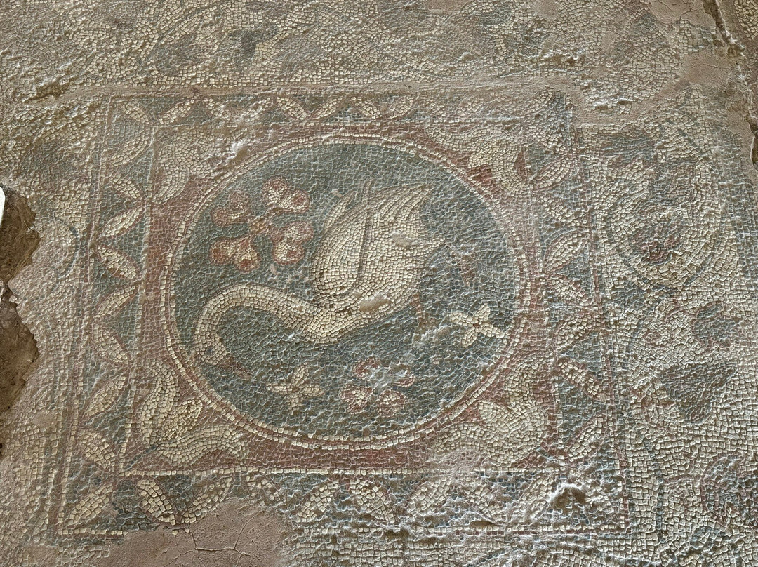 Soli Ruinen-莱夫卡必去景点