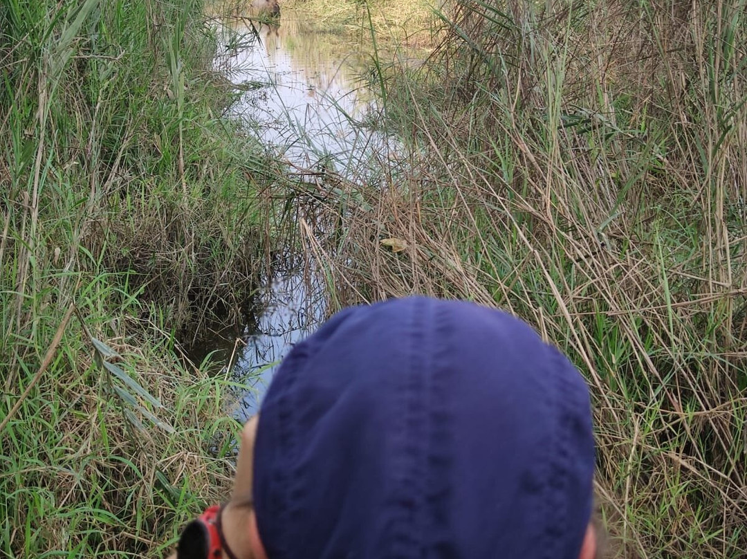The Jungle Book Safari & Tours,  Chitwan National Park景点图片