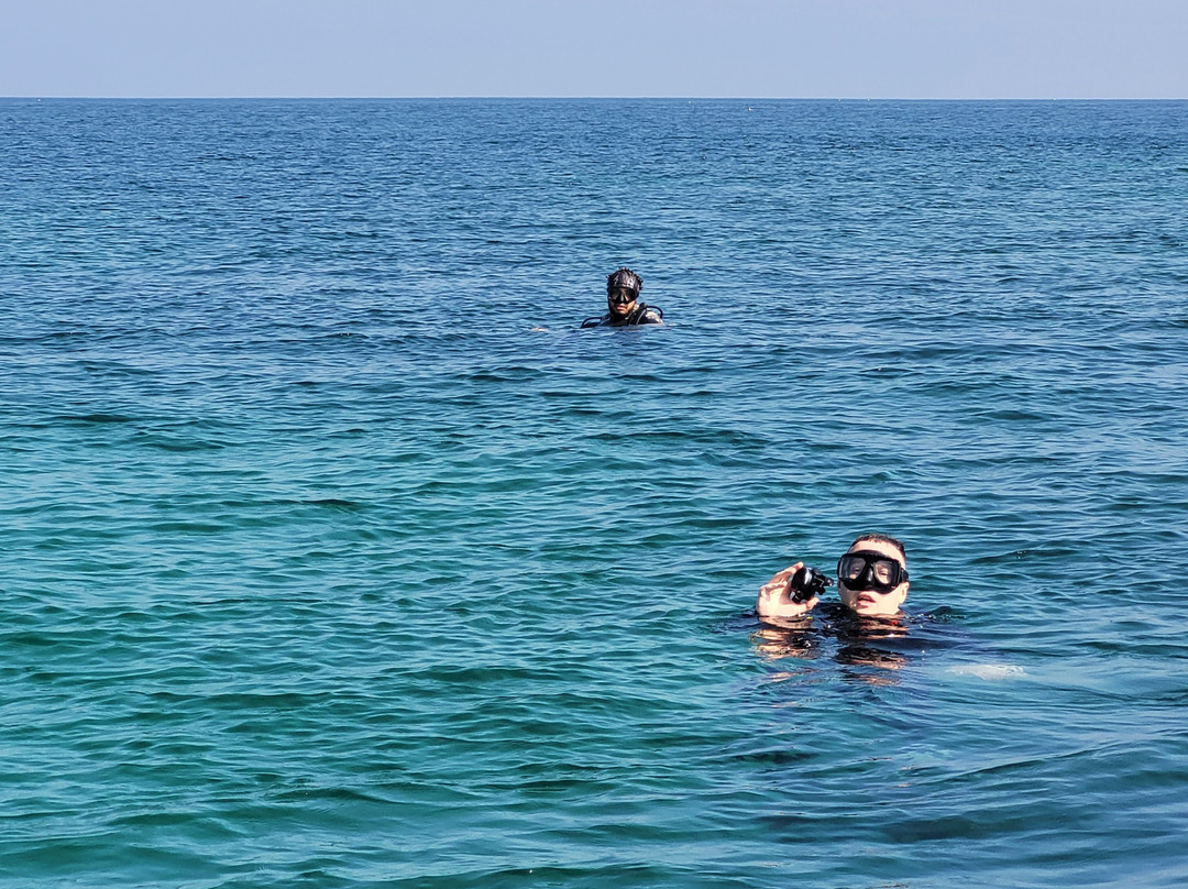 Nemo Diving Center - Fujairah-Dibba Al Fujairah必去景点