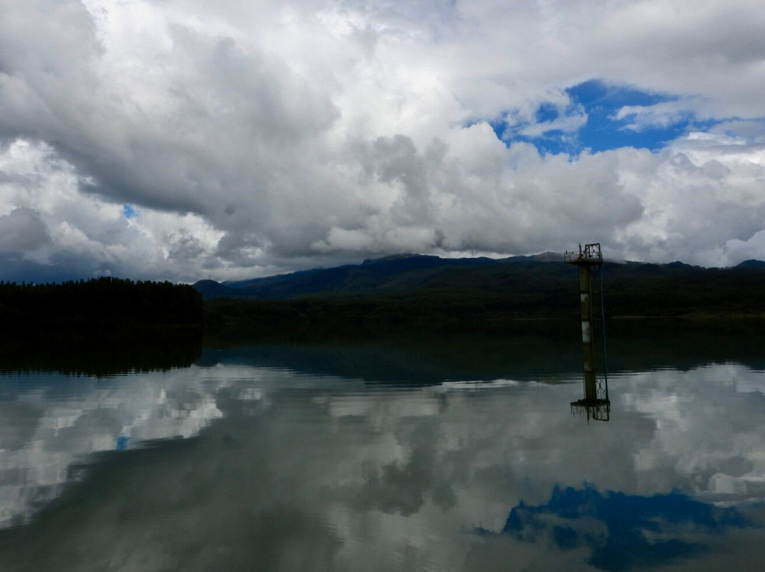 Reserva La yeguada景点图片