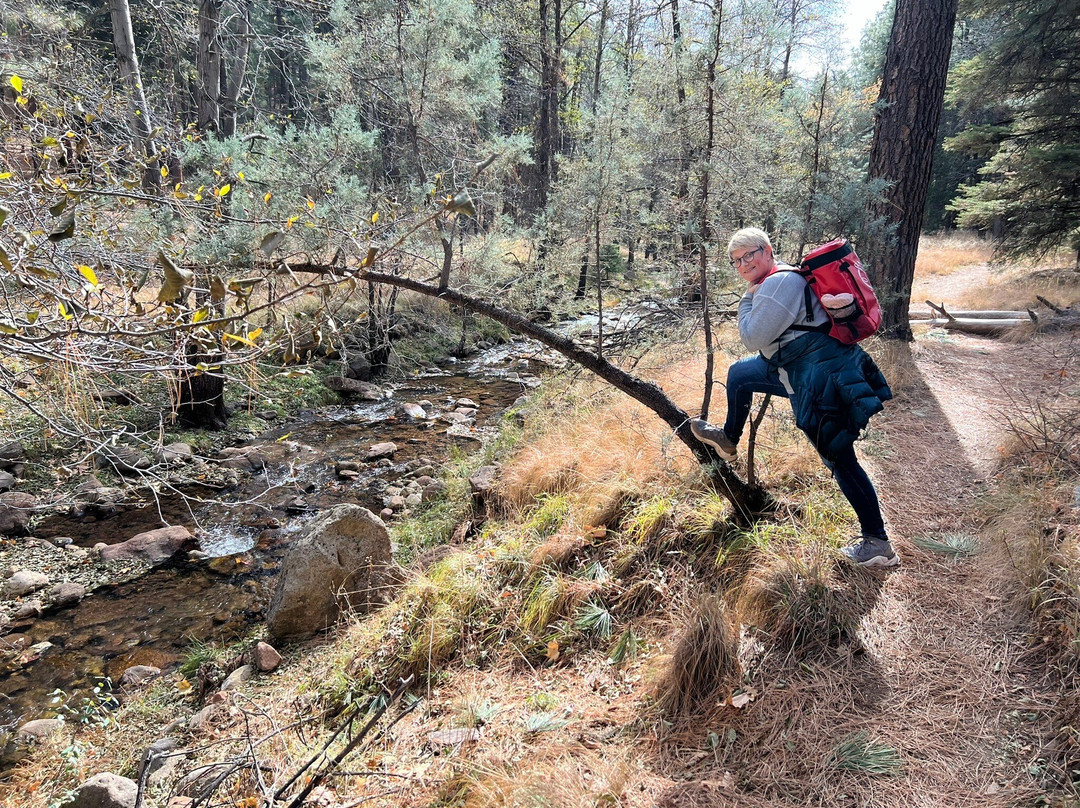 Horton Creek Trail-Payson必去景点