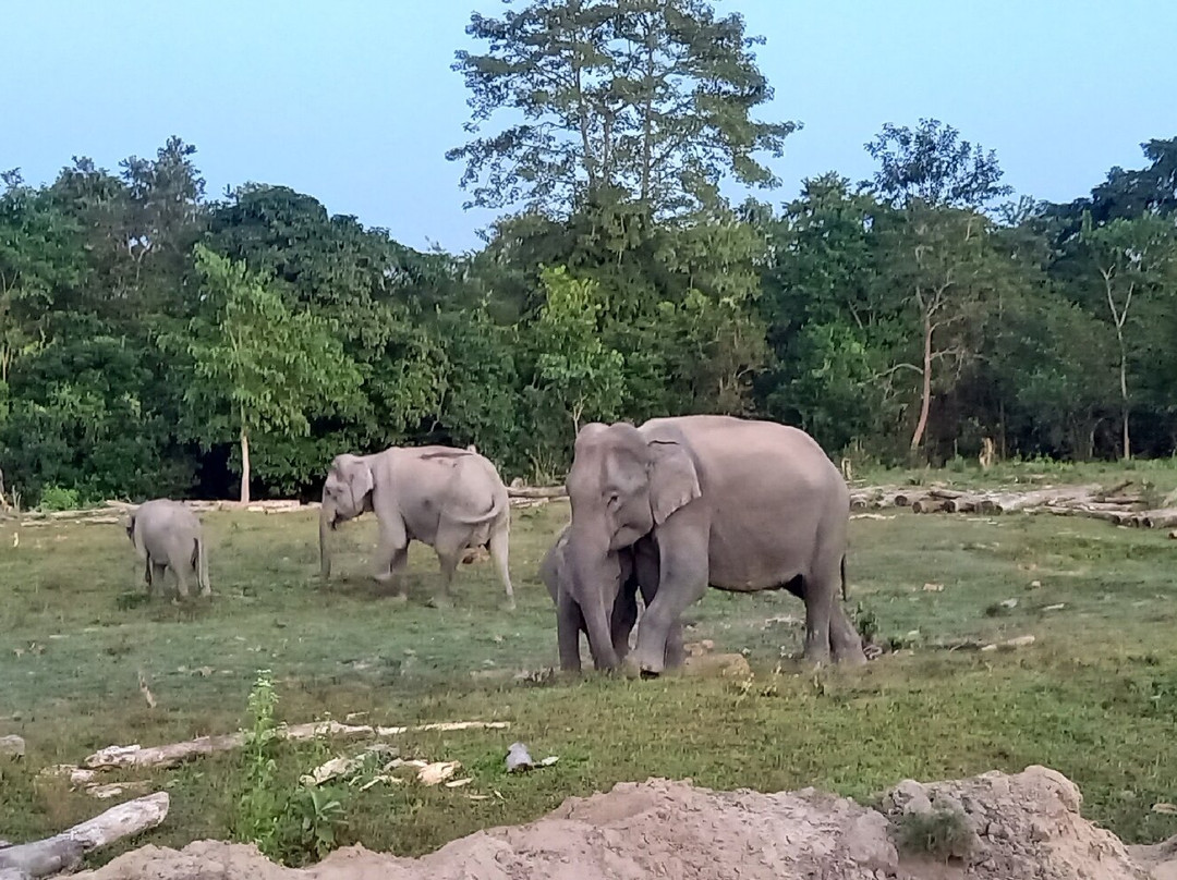 Manas Jungle Retreat主图