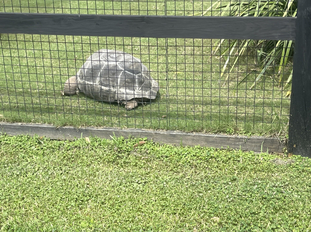 Amazement Farm & Fun Park-怀昂溪必去景点