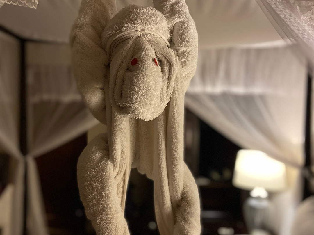 Kings Pavilion主图