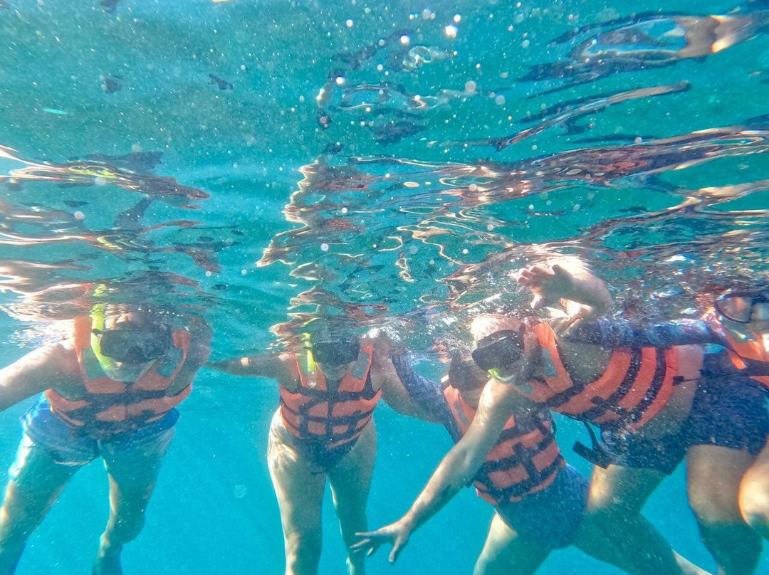 Dc Explorer Snorkeling In Isla Mujeres景点图片