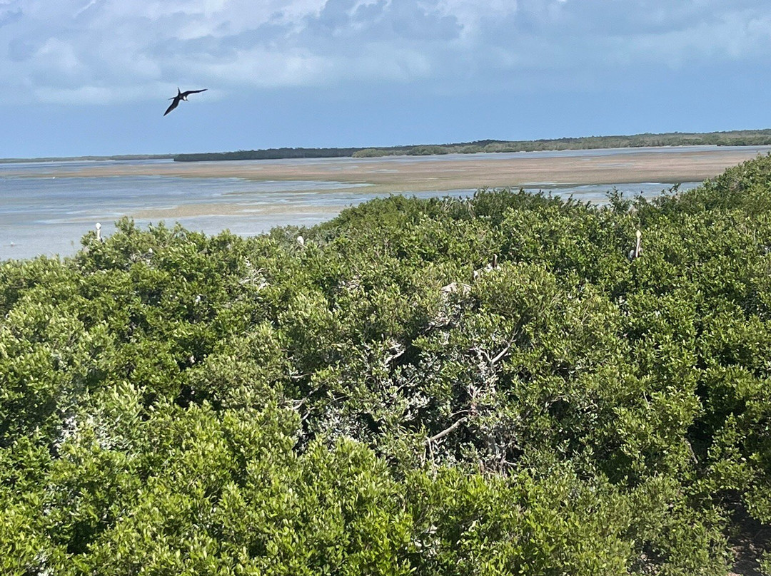 My Holbox Tours景点图片