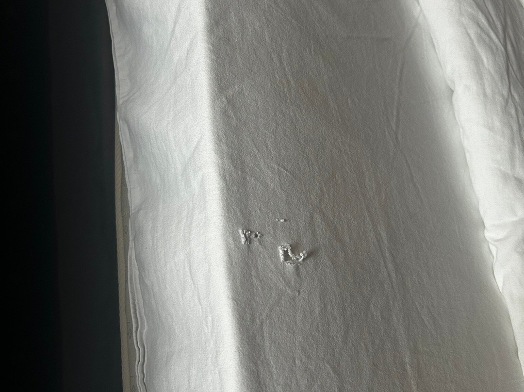 Aleksandar Novi Sad主图