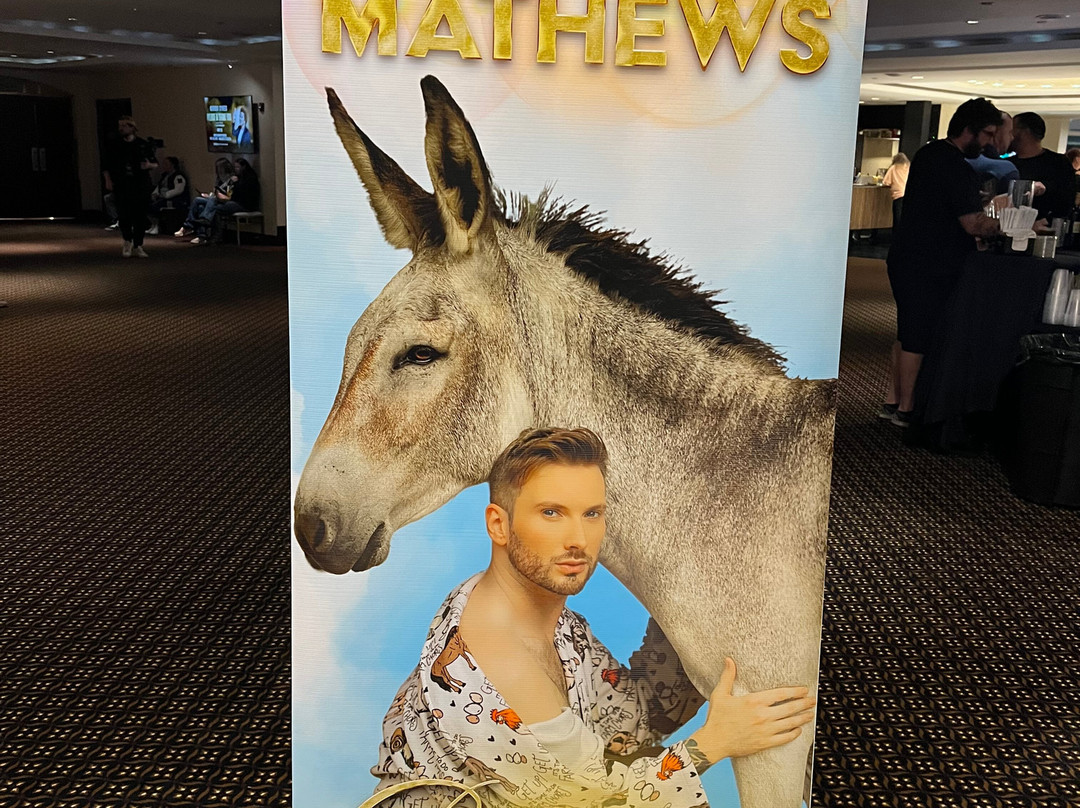 Duke Energy Center for the Arts - Mahaffey Theater-圣彼德斯堡必去景点