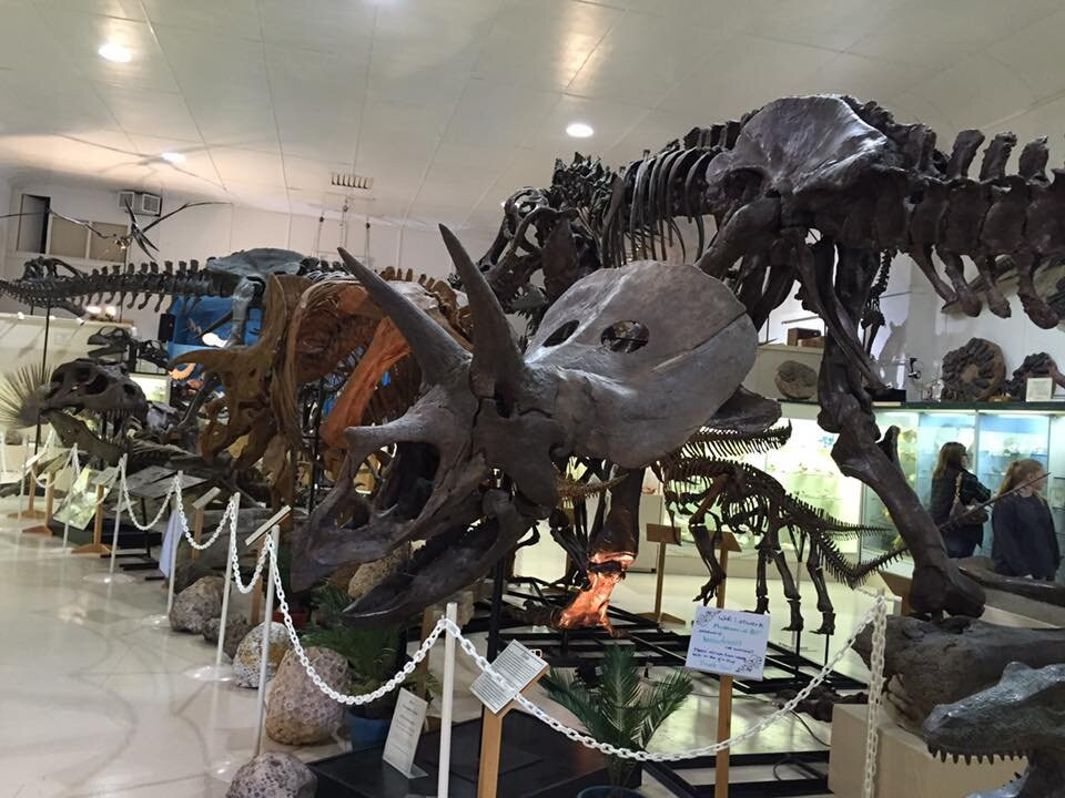 Tate Geological Museum-卡斯珀必去景点