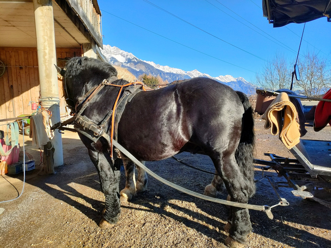 Postkutscherhof Axams-Axams必去景点