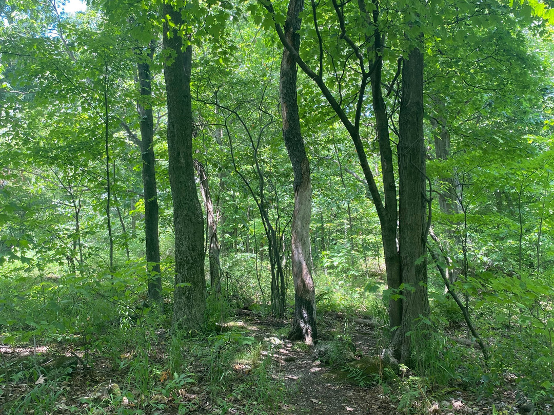 Nelson-Kennedy Ledges State Park-Nelson必去景点