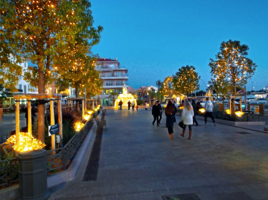 Port Sanary Sur Mer景点图片