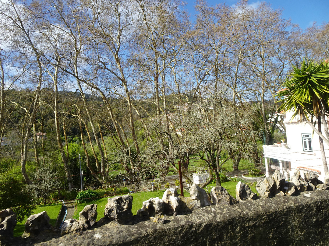 Sintra Tram景点图片