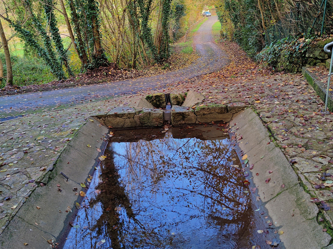 Lavoirs Et Fontaine De Sciecq景点图片