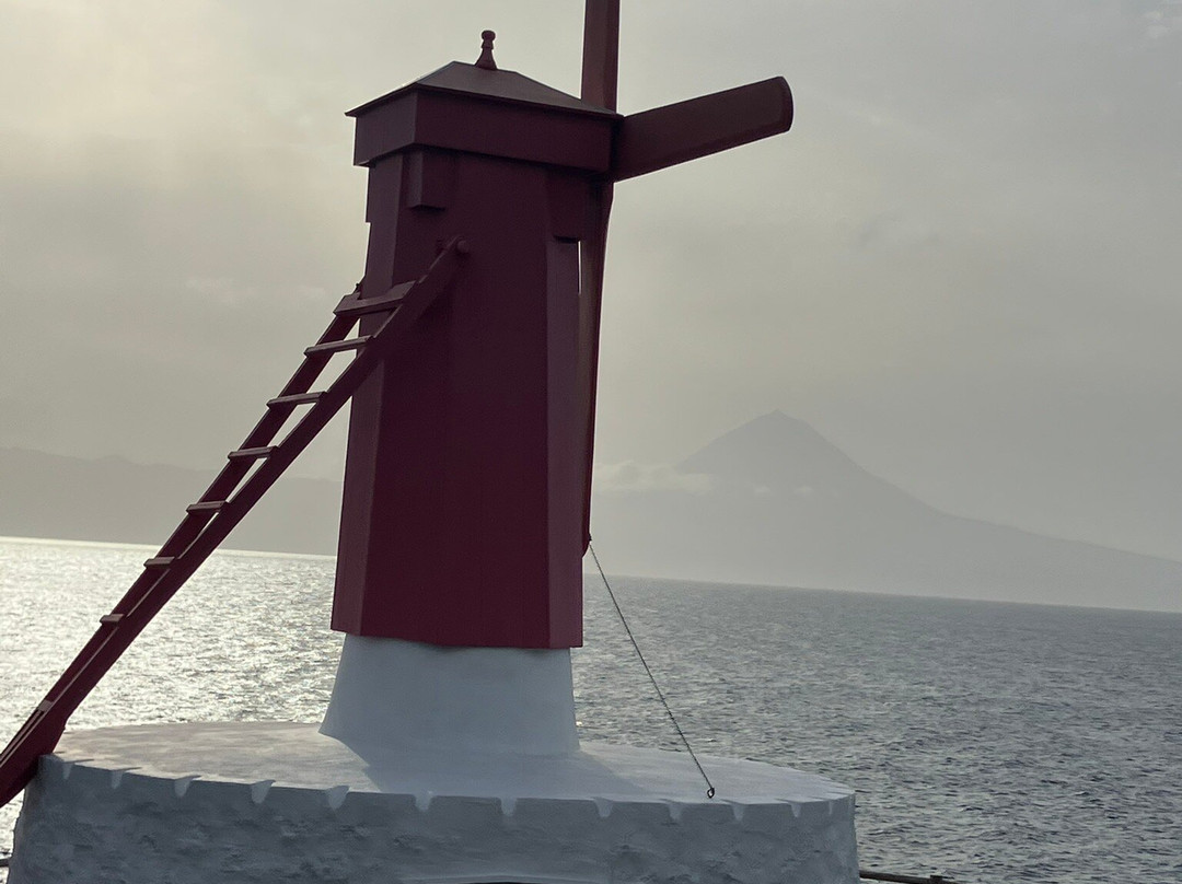 Casa d'Avo Guesthouse主图