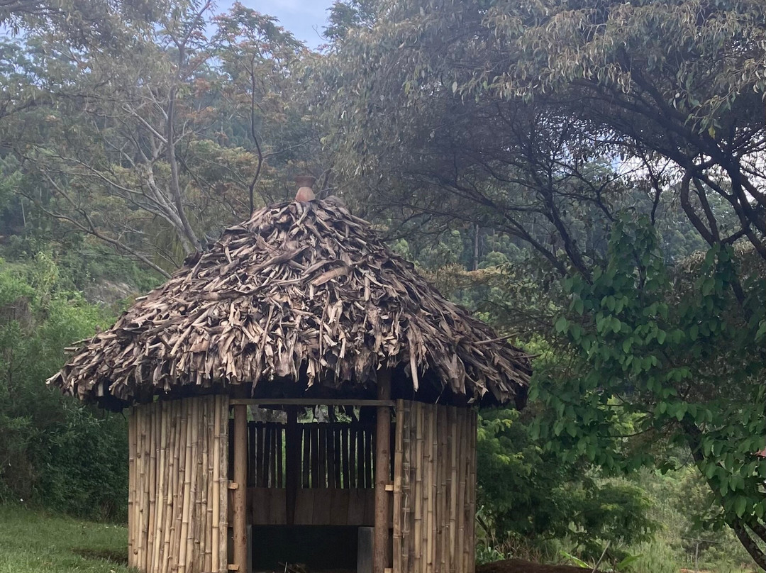 Shambaa Eco Tours-卢绍托必去景点