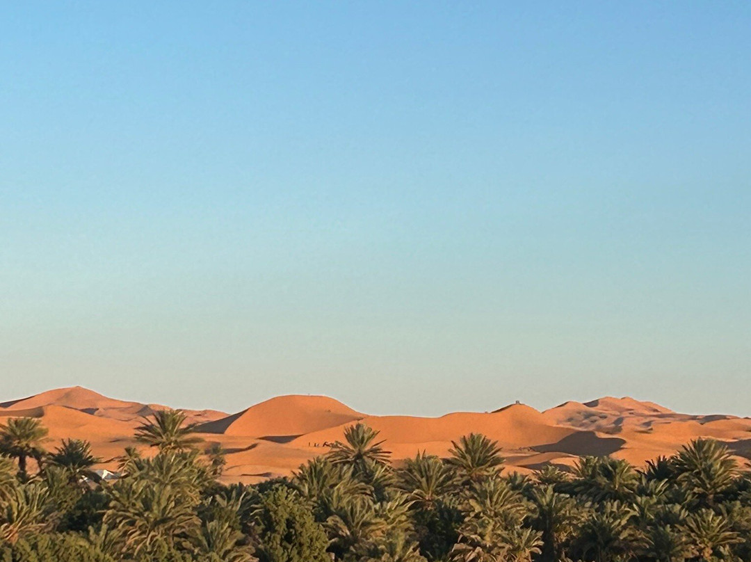 Riad Les Jardins De Merzouga主图