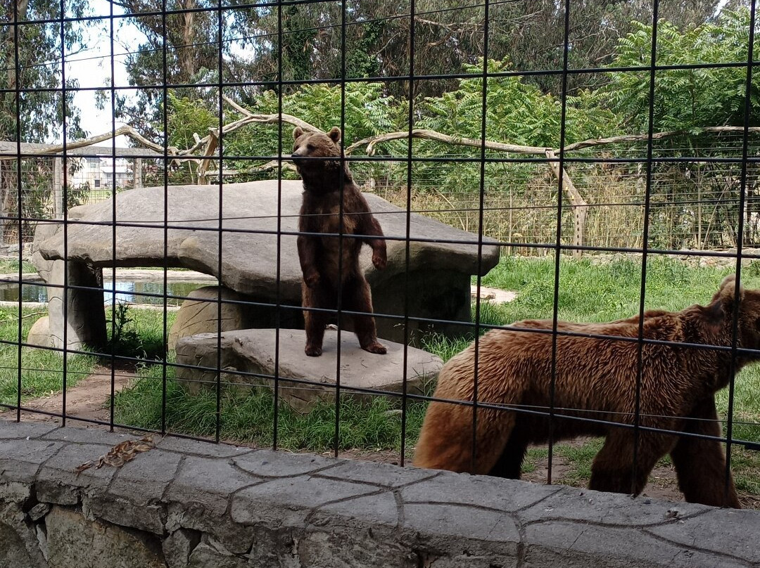 Zoo de Batan-Batan必去景点