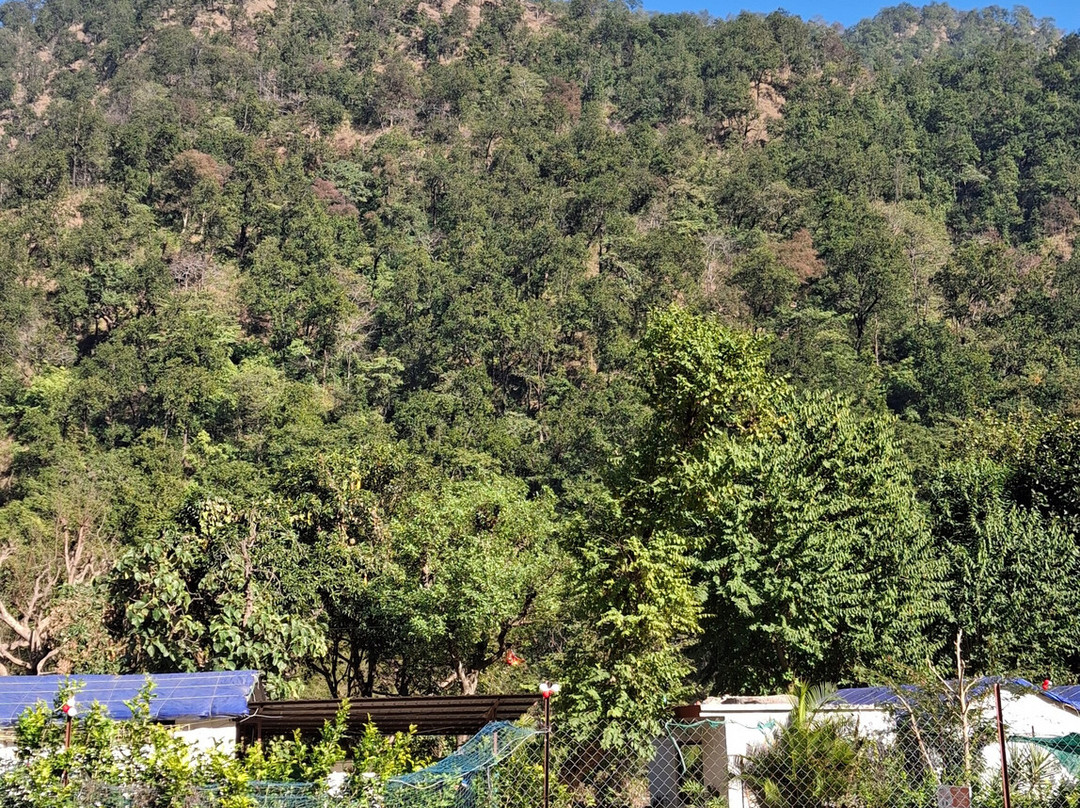 Nature's Valley Resort主图