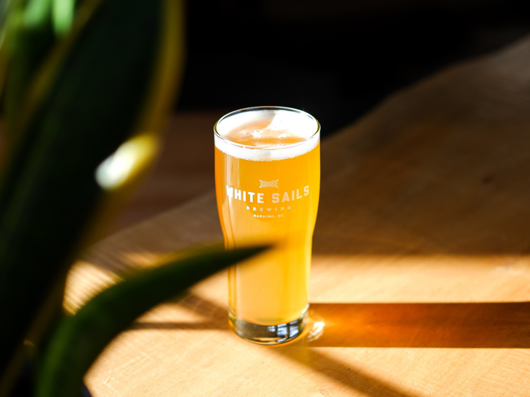 White Sails Brewing景点图片