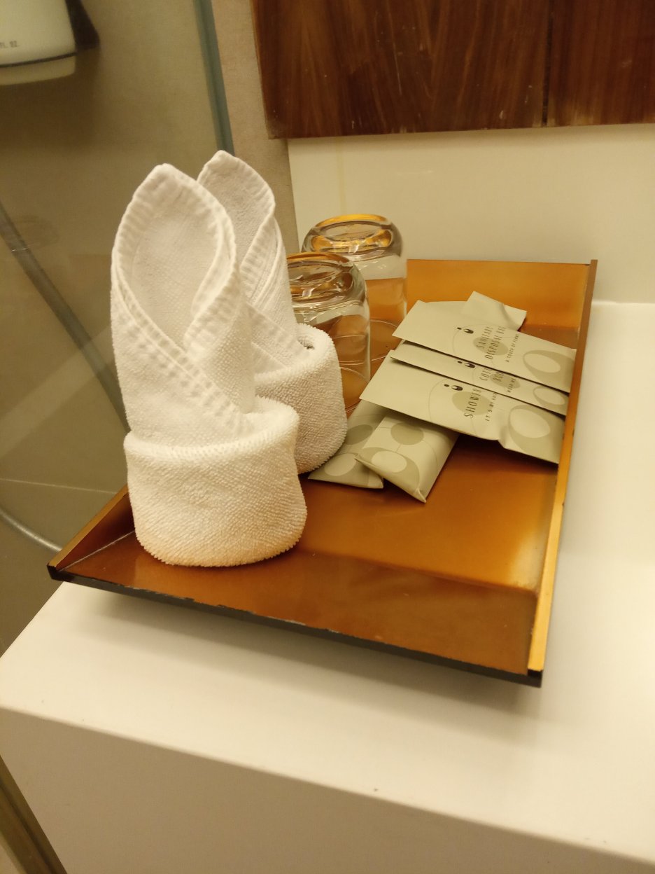 槟城温宝利酒店-浴室