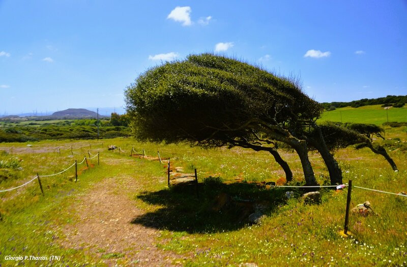 Nuraghe Seruci-Gonnesa必去景点