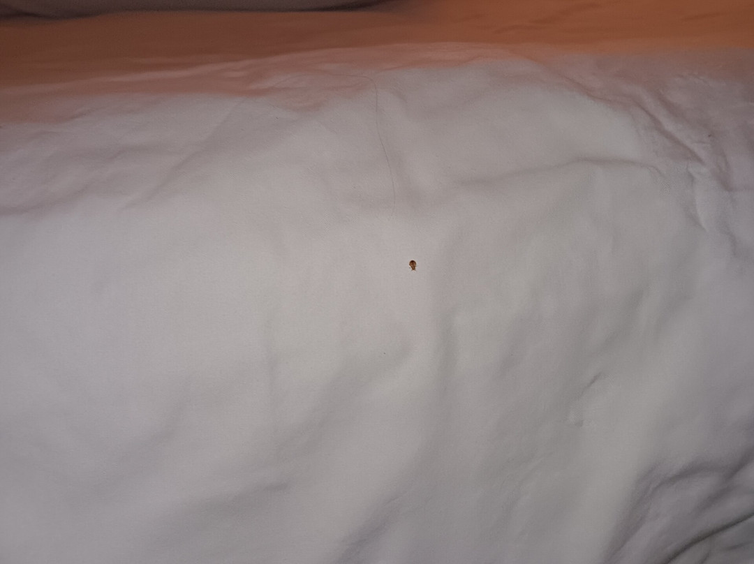 Baymont By Wyndham Brooklyn Center主图