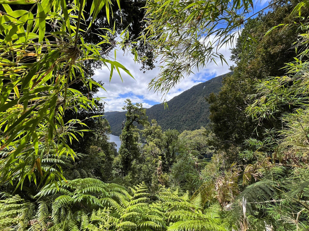 Sendero el Puma-耐尔杜美必去景点